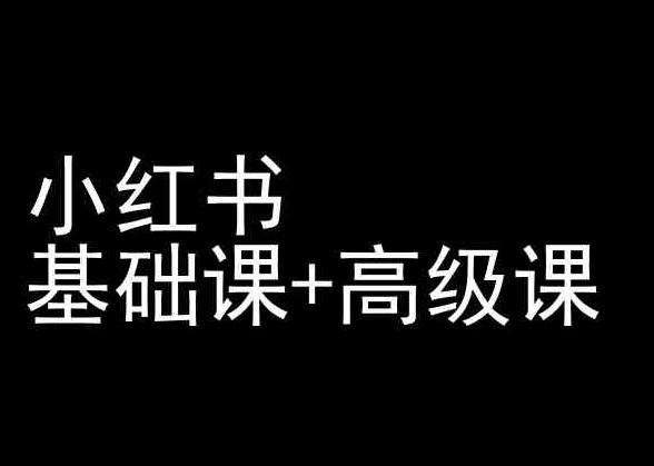 小红书基础课+高级课-小红书运营教程-翻身站