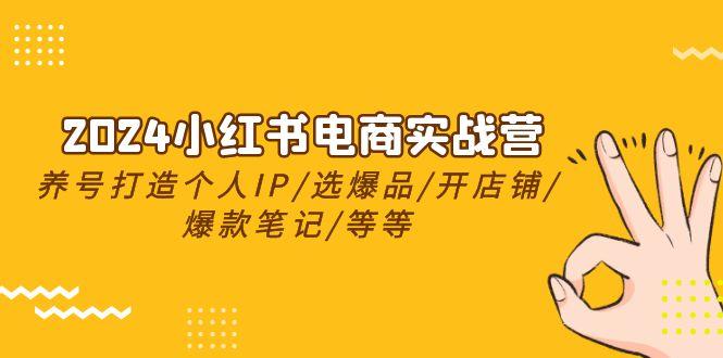 2024小红书电商实战营，养号打造IP/选爆品/开店铺/爆款笔记/等等(24节)-翻身站