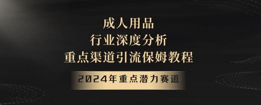 2024年重点潜力赛道，成人用品行业深度分析，重点渠道引流保姆教程【揭秘】-翻身站