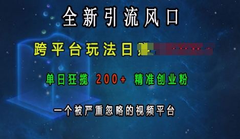 全新引流风口，跨平台玩法日入上k，单日狂揽200+精准创业粉，一个被严重忽略的视频平台-翻身站
