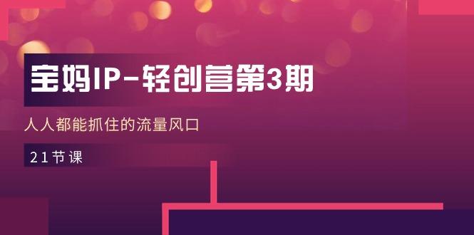 宝妈IP-轻创营第3期，人人都能抓住的流量风口(21节课-翻身站