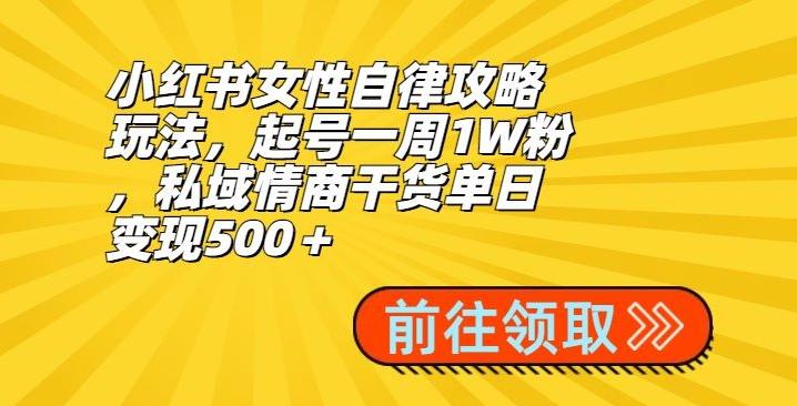 小红书女性自律攻略玩法，起号一周1W粉，私域情商干货单日变现500＋-翻身站