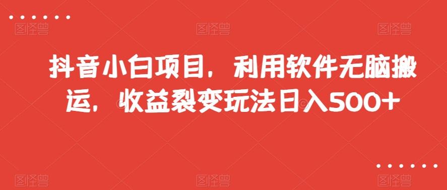 抖音小白项目，利用软件无脑搬运，收益裂变玩法日入500+【揭秘】-翻身站