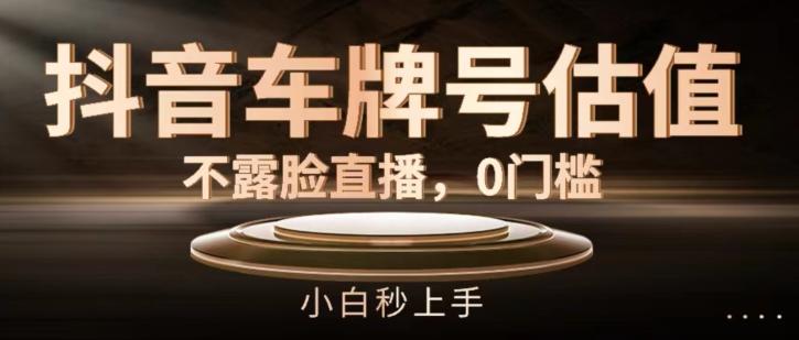 抖音车牌号估值，不露脸直播，0门槛，小白秒上手【揭秘】-翻身站