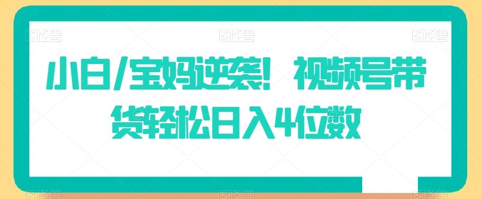 小白/宝妈逆袭！视频号带货轻松日入4位数【揭秘】-翻身站