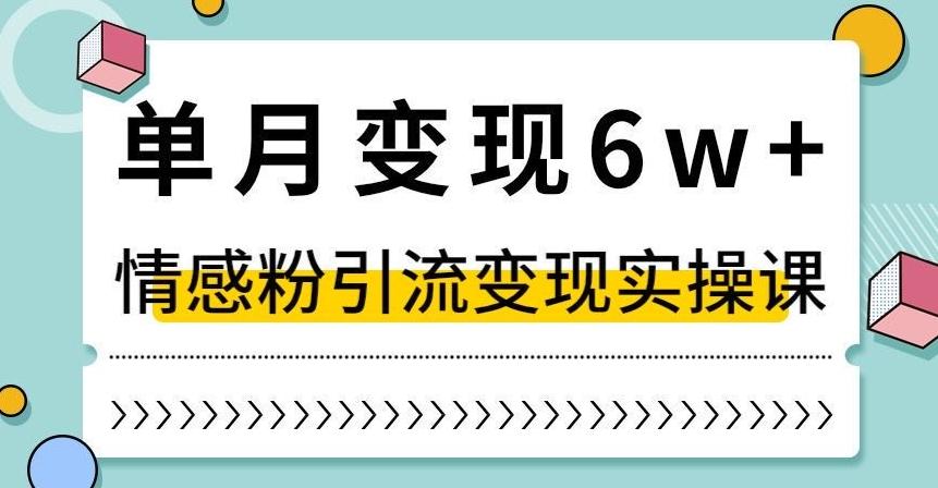 单月变现6W+，抖音情感粉引流变现实操课，小白可做，轻松上手，独家赛道【揭秘】-翻身站