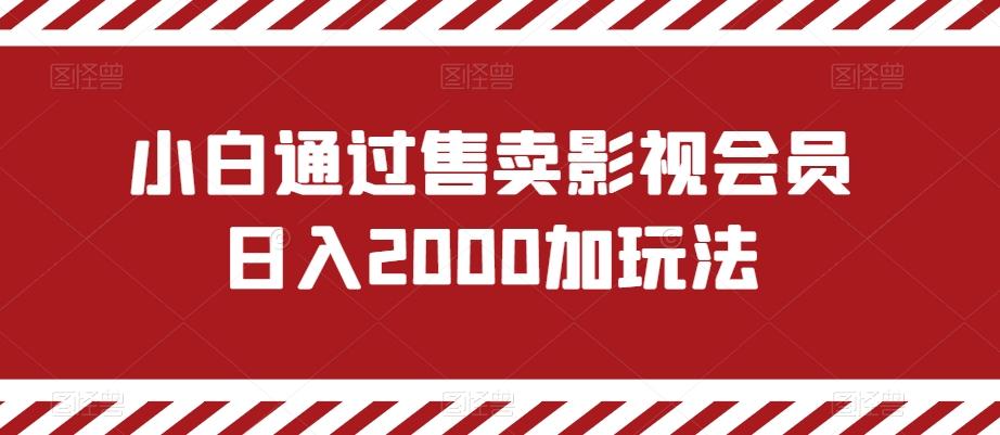 小白通过售卖影视会员日入2000加玩法-翻身站