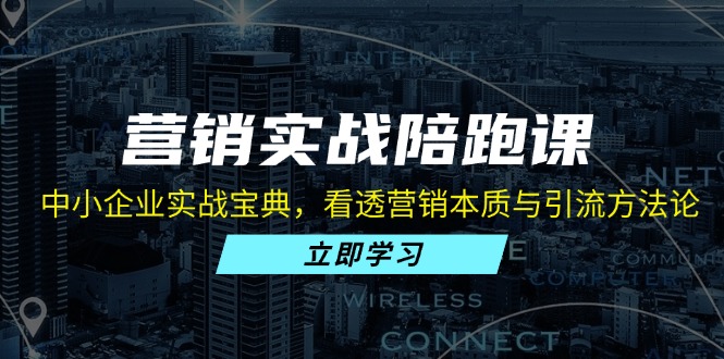 营销实战陪跑课：中小企业实战宝典，看透营销本质与引流方法论-翻身站