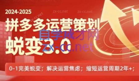 大力老师·2024拼多多运营策略蜕变3.0-翻身站