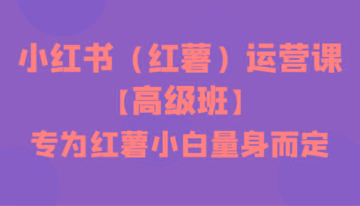 小红书(红薯)运营课【高级班】，专为红薯小白量身而定(42节课)-翻身站