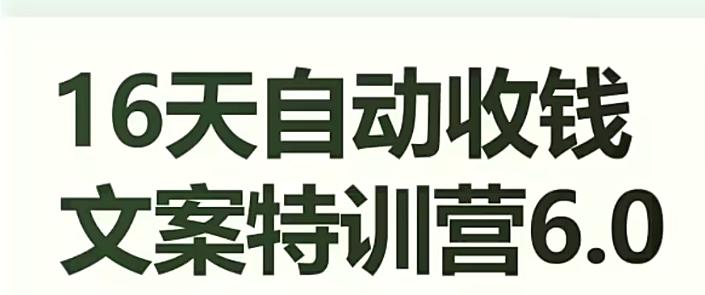 16天自动收钱文案特训营6.0，学会儿每天自动咔咔收钱-翻身站
