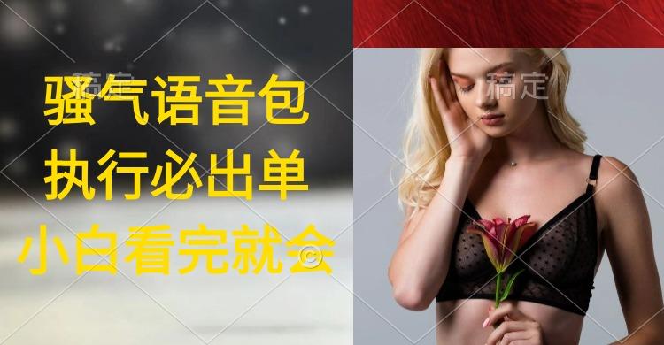 (9589期)执行就出单，日入2000+，超火骚气语音包，小白看完课程就能马上实操-翻身站