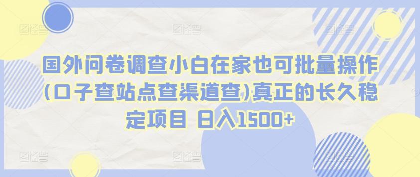 国外问卷调查小白在家也可批量操作(口子查站点查渠道查)真正的长久稳定项目 日入1500+【揭秘】-翻身站