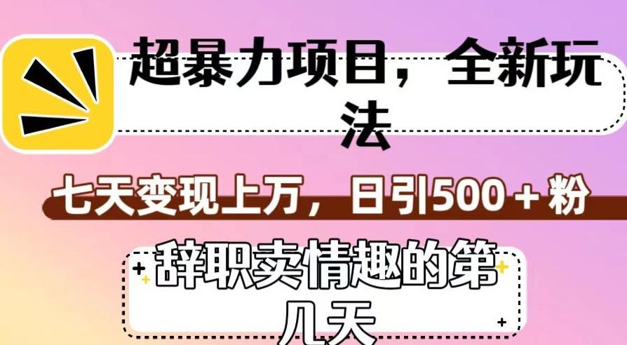 超暴利项目，全新玩法（辞职卖情趣的第几天），七天变现上万，日引500+粉【揭秘】-翻身站