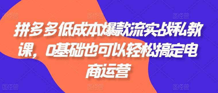 拼多多低成本爆款流实战私教课，0基础也可以轻松搞定电商运营-翻身站