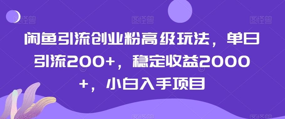 闲鱼引流创业粉高级玩法，单日引流200+，稳定收益2000+，小白入手项目-翻身站