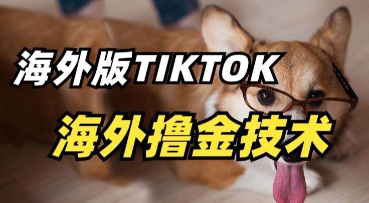 抖音海外版tiktok撸金技术，这个风口行业，赚钱真的不难【揭秘】-翻身站