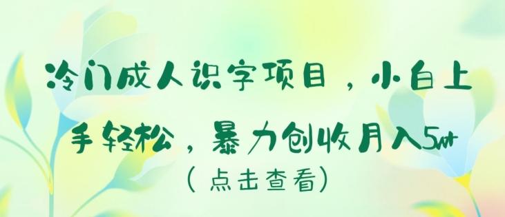 冷门成人识字项目，小白上手轻松，暴力创收月入5w+【揭秘】-翻身站