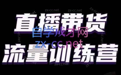 婉婉·直播带货课程系列合集(更新8月)-翻身站