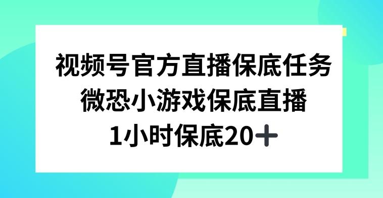 视频号直播任务，微恐小游戏，1小时20+【揭秘】-翻身站