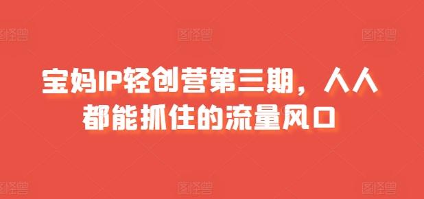 宝妈IP轻创营第三期，人人都能抓住的流量风口-翻身站