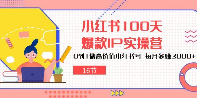 小红书100天-爆款IP实操营，0到1做高价值小红书号 每月多赚3000+(16节-翻身站
