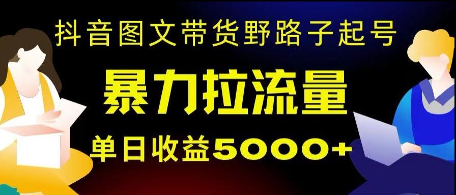 抖音图文带货暴力起号，单日收益5000+，野路子玩法，简单易上手，一部手机即可【揭秘】-翻身站