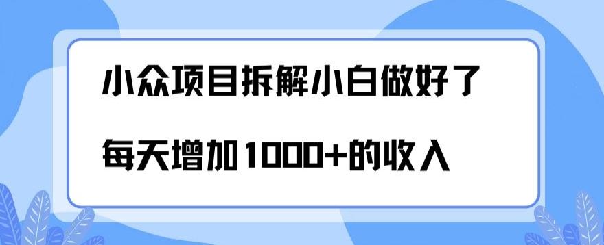 小众项目拆解，小白做好了每天可增加1000多的收入-翻身站