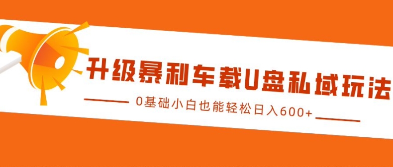 升级暴利车载U盘私域玩法，0基础小白也能轻松日入多张【揭秘】-翻身站