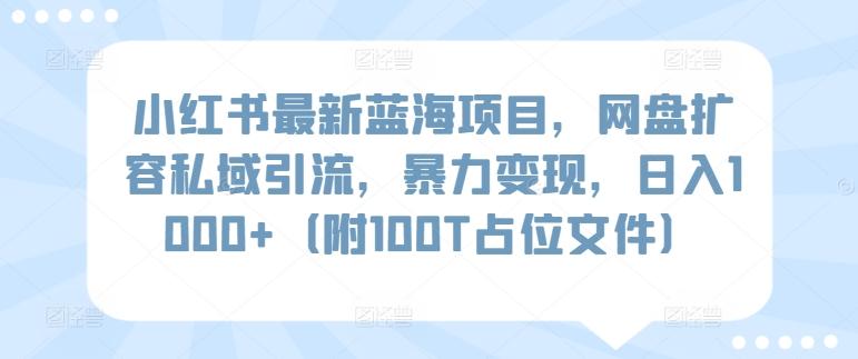 小红书最新蓝海项目，网盘扩容私域引流，暴力变现，日入1000+(附100T占位文件)【揭秘】-翻身站