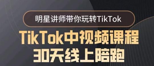 TikTok中视频课程30天线上陪跑，明星讲师带你玩转TikTok-翻身站
