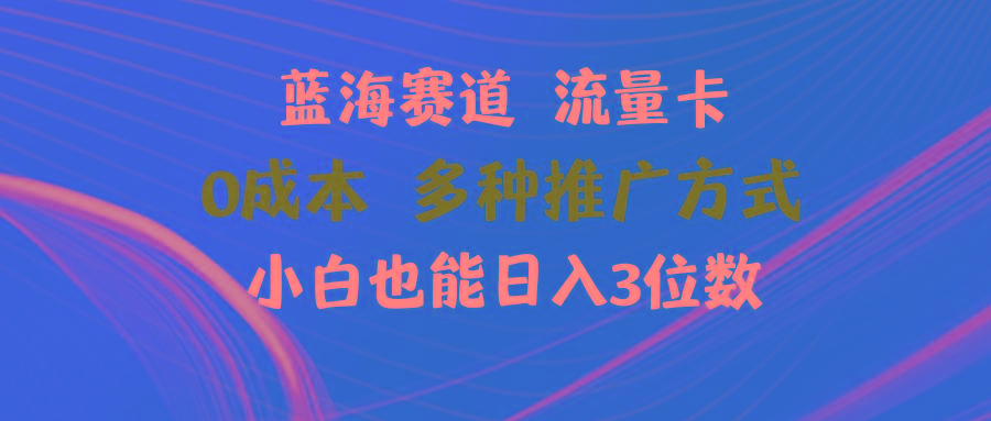 蓝海赛道 流量卡 0成本 小白也能日入三位数-翻身站