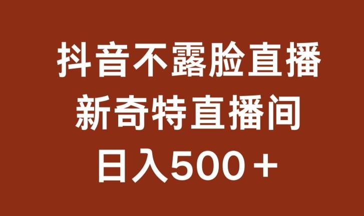 不露脸挂机直播，新奇特直播间，日入500+【揭秘】-翻身站