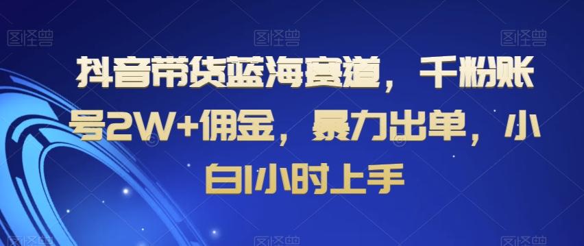 抖音带货蓝海赛道，千粉账号2W+佣金，暴力出单，小白1小时上手【揭秘】-翻身站