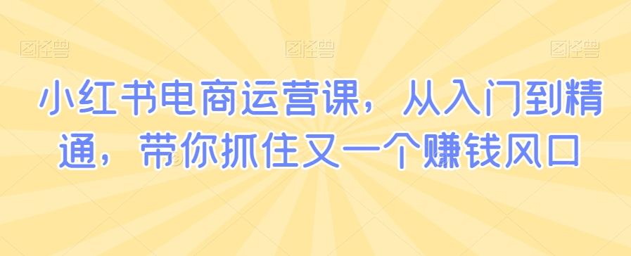 小红书电商运营课，从入门到精通，带你抓住又一个赚钱风口-翻身站