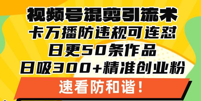 视频号混剪引流技术，500万播放引流17000创业粉，操作简单当天学会-翻身站