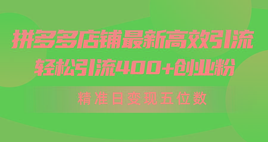 (10041期)拼多多店铺最新高效引流术，轻松引流400+创业粉，精准日变现五位数！-翻身站