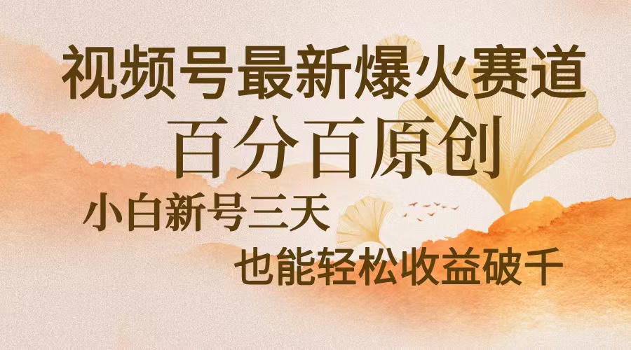 视频号最新爆火赛道，中老年粉深信不疑，百分百原创，新号三天收益轻松…-翻身站