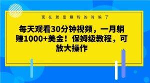 每天观看30分钟视频，一月躺赚1000+美金！保姆级教程，可放大操作【揭秘】-翻身站