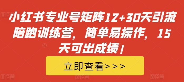 小红书专业号矩阵12+30天引流陪跑训练营，简单易操作，15天可出成绩!-翻身站