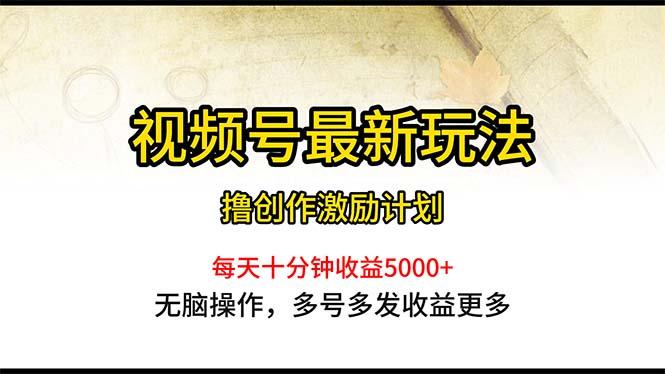 视频号最新玩法，每日一小时月入5000+-翻身站