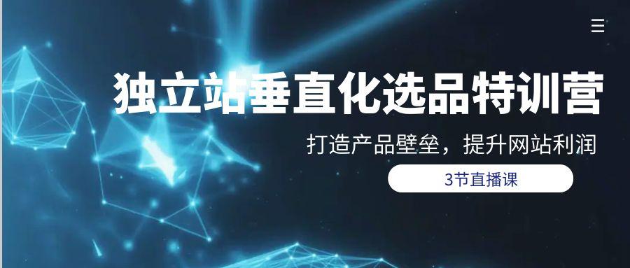 (9925期)独立站-垂直化选品训练营，打造产品壁垒，提升网站利润(3节直播课)-翻身站