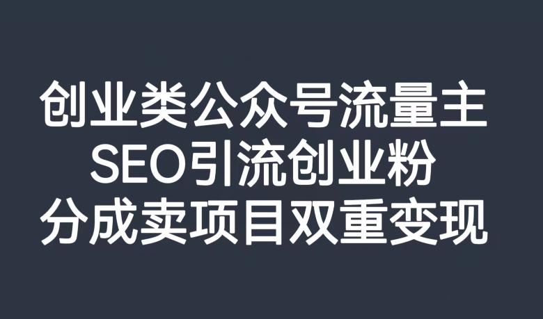 创业类公众号流量主，SEO引流创业粉，分成卖项目双重变现【揭秘】-翻身站