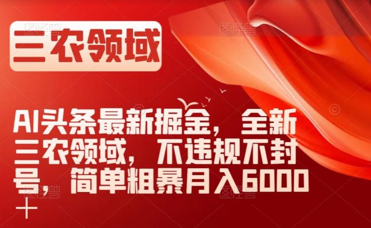 AI头条最新掘金，全新三农领域，不违规不封号，简单粗暴月入6000＋【揭秘】-翻身站
