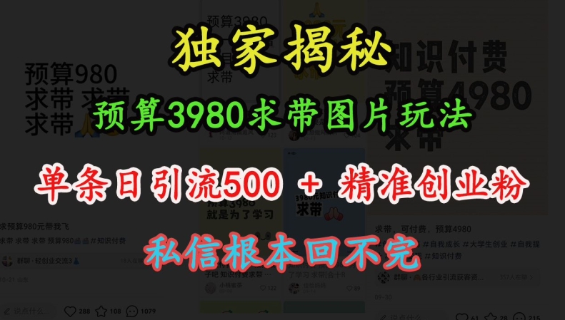 预算3980求带 图片玩法，单条日引流500+精准创业粉，私信根本回不完-翻身站