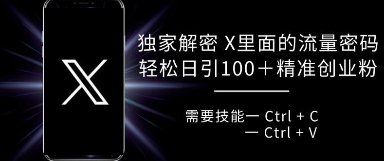 独家解密 X 里面的流量密码，复制粘贴轻松日引100+-翻身站
