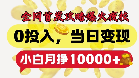 全网首发爆火夜校，0投入，当日变现，小白轻松月入1w+【揭秘】-翻身站
