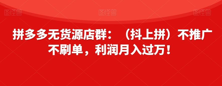 拼多多无货源店群：（抖上拼）不推广不刷单，利润月入过万！【揭秘】-翻身站