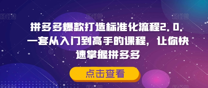 拼多多爆款打造标准化流程2.0，一套从入门到高手的课程，让你快速掌握拼多多-翻身站