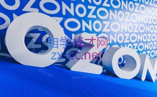 森哥·出海俄罗斯电商实操(2024)-翻身站